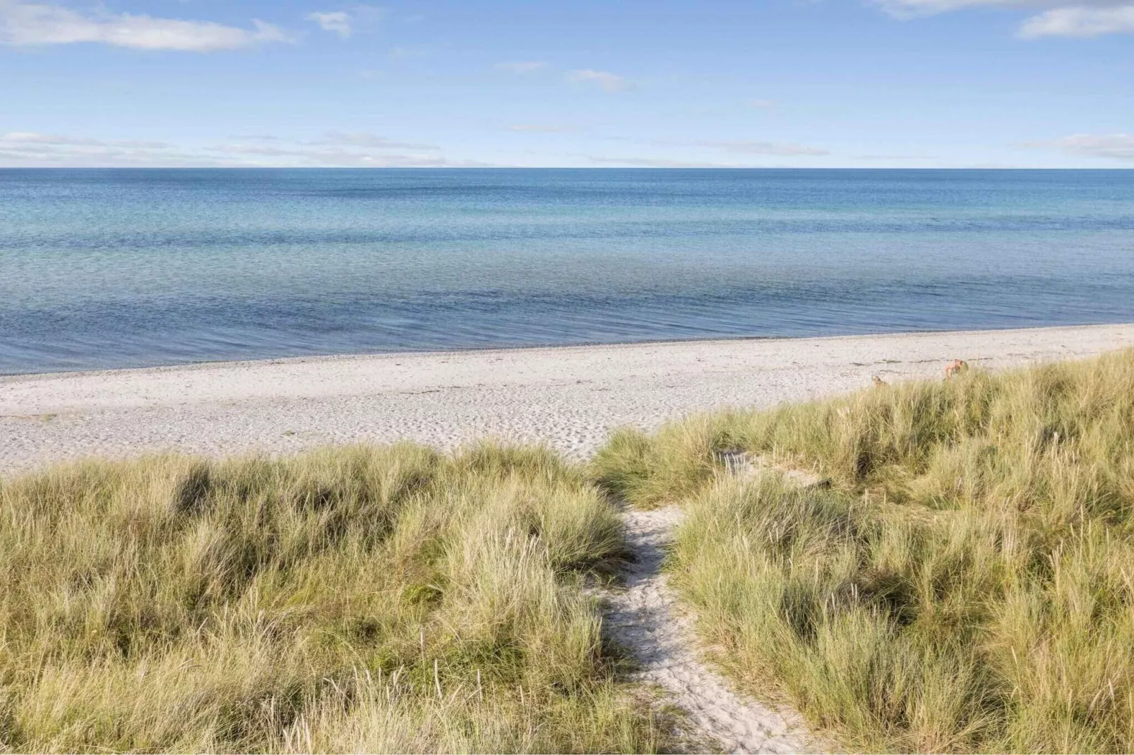 4 sterren vakantie huis in Nykøbing Sj-Waterzicht