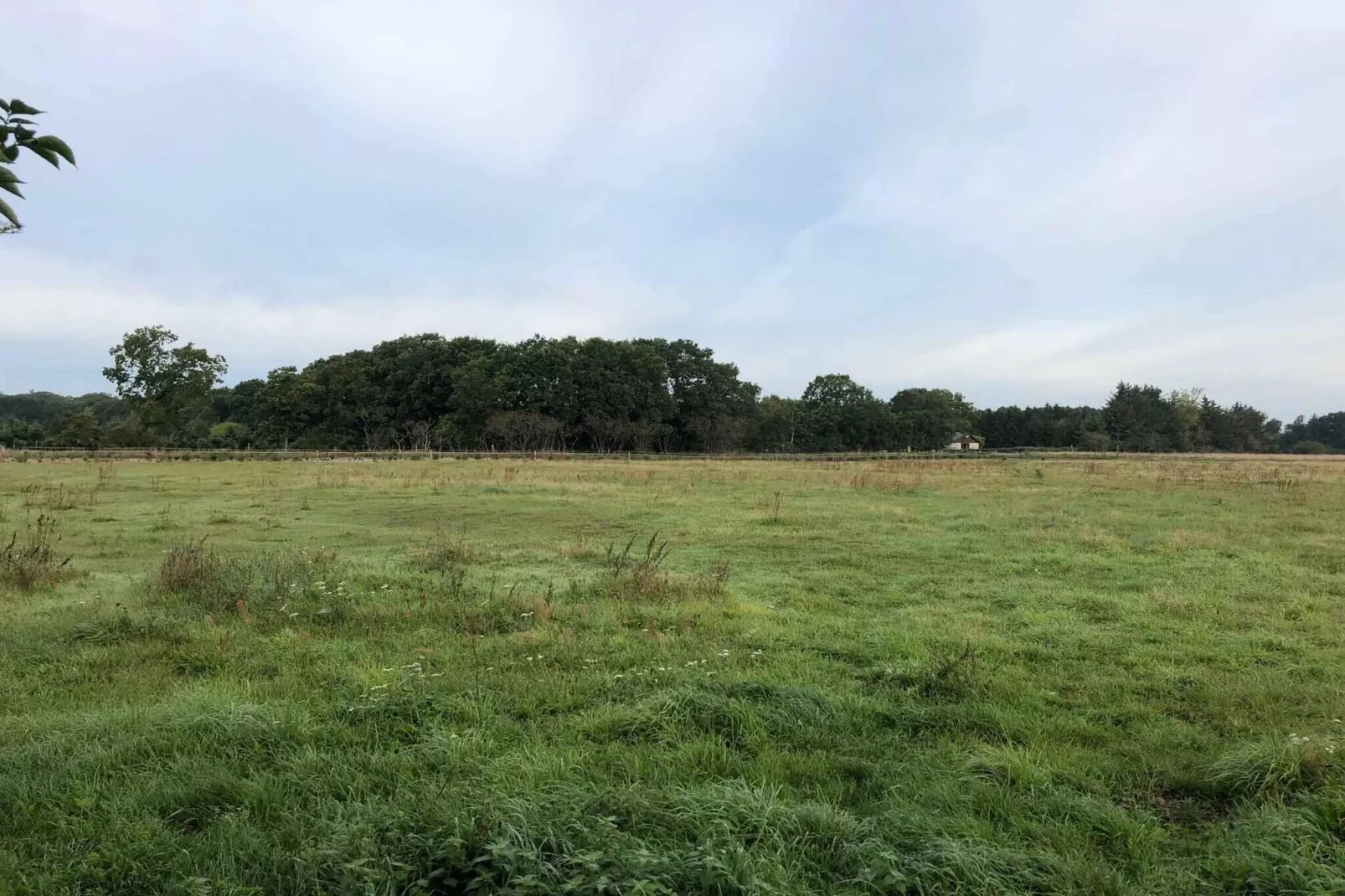 4 sterren vakantie huis in Hadsund-Buitenlucht