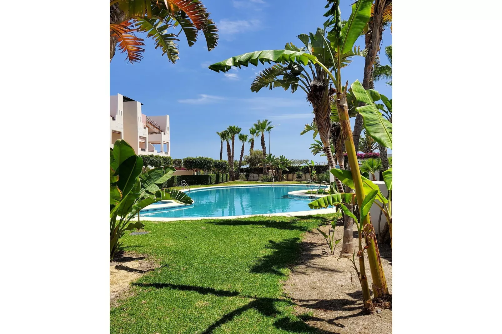 CT 340 AL - Gardenapartment - Paraiso de Vera-Zwembad