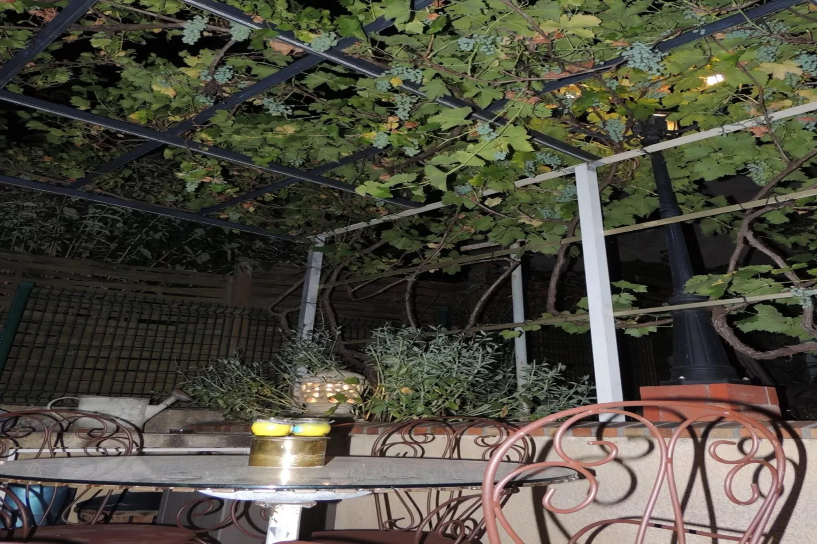 L'hôte antique-Terrasbalkon