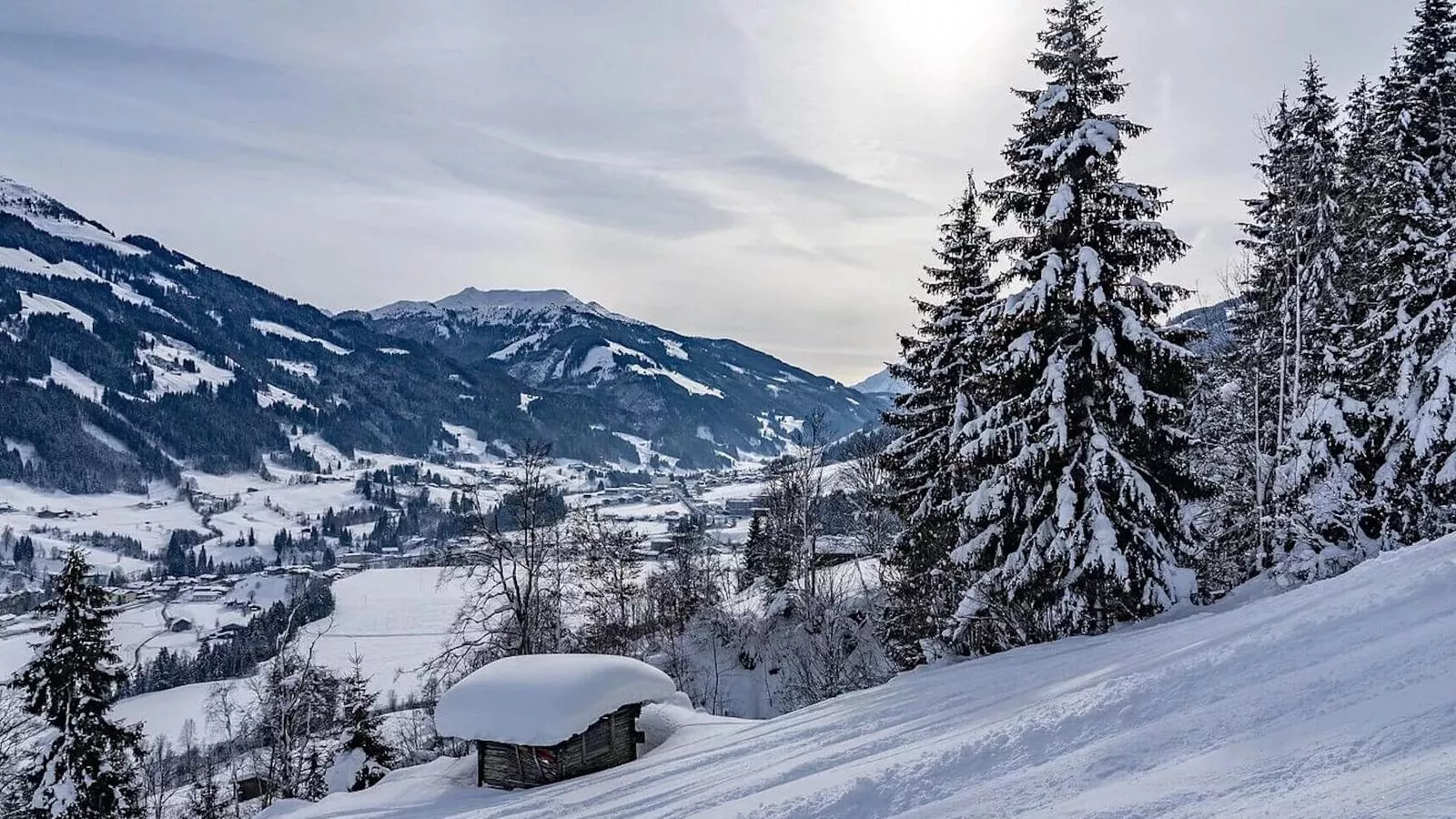 Haus Tauernblick Top 2-Gebied winter 1km