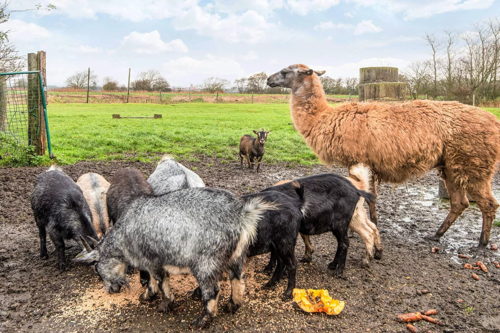 4 Personen vakantie huis in Højer-Niet-getagd