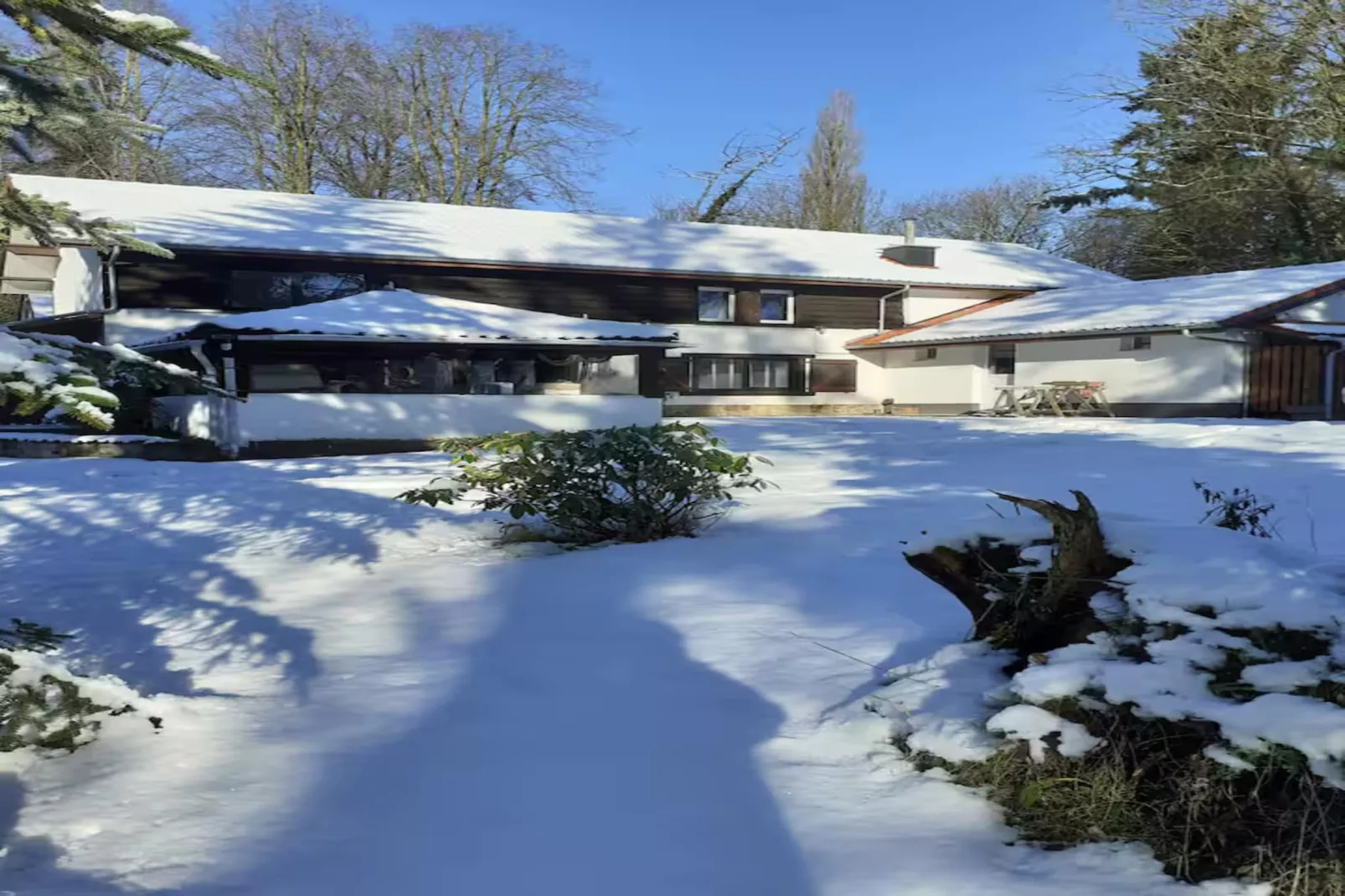 L'Ecureuil Blanc-Exterieur winter