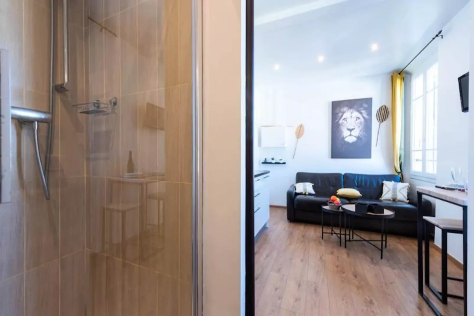 Résidence Studio Climatisé Cœur De Cannes-Niet-getagd