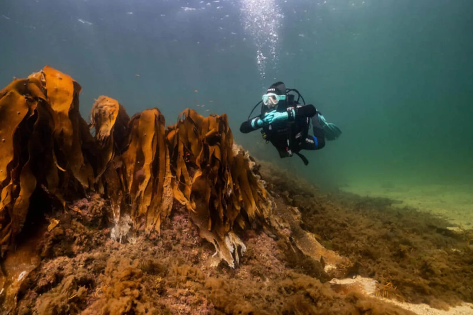 Appartements à Carraroe Galway-Niet-getagd