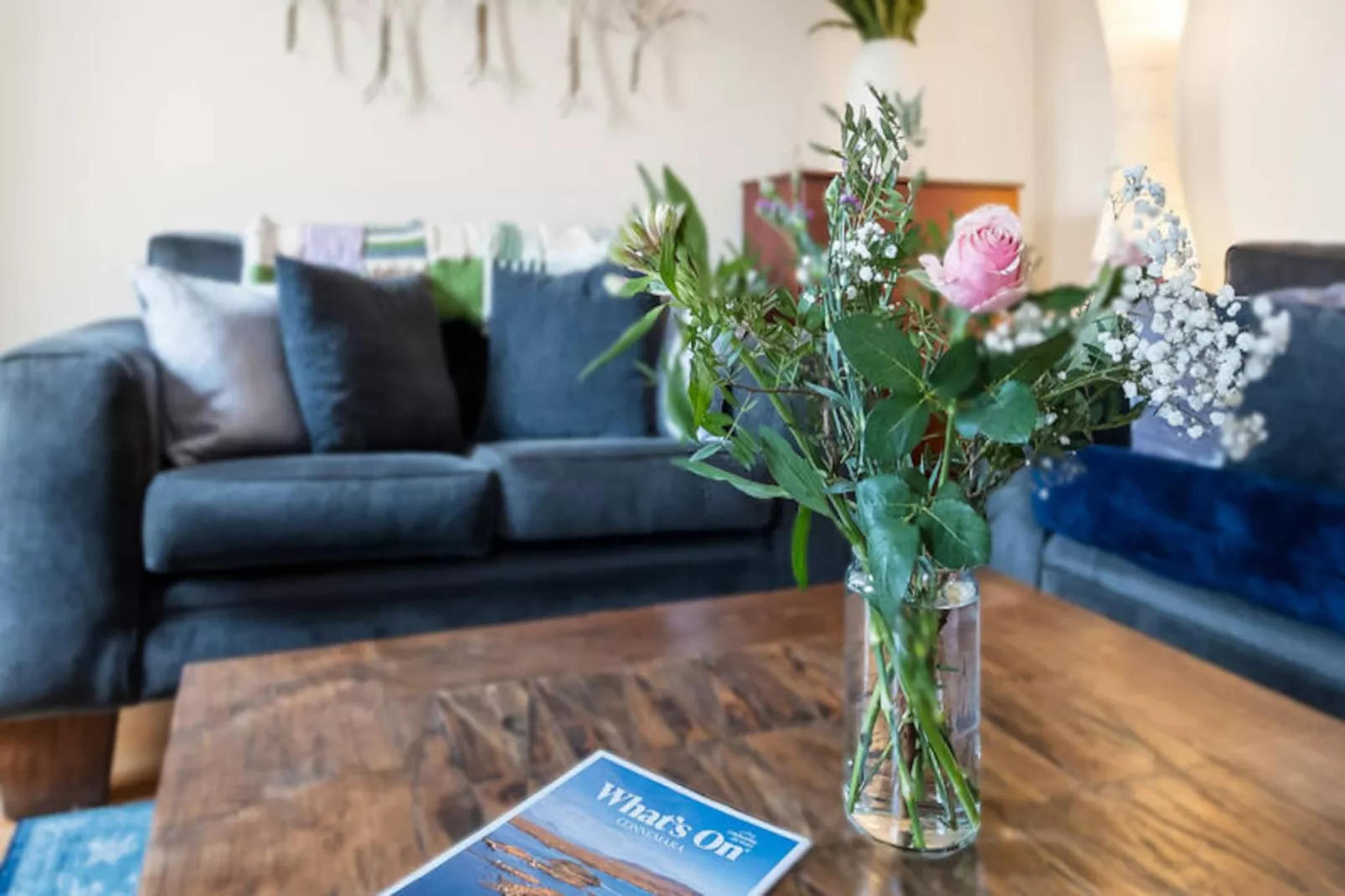 Appartements à Clifden Galway-Niet-getagd