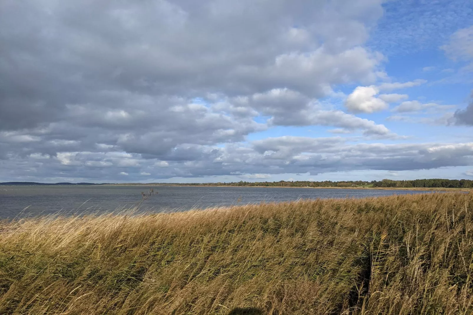 Kustsereniteit in Jaegerspris-By Traum-Waterzicht