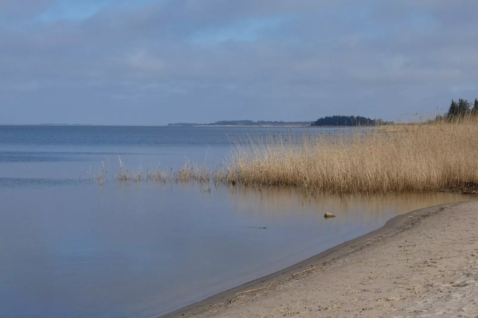 6 persoons vakantie huis in Hemmet-Waterzicht
