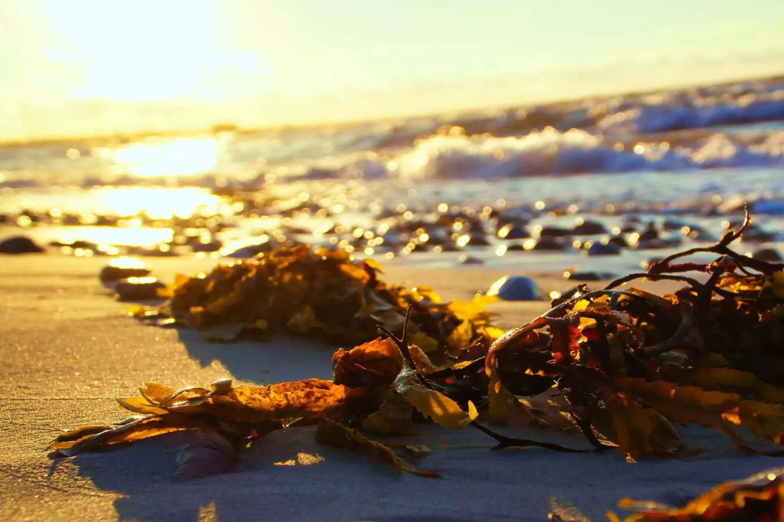 Zeezijde Cottage met Sauna-By Traum-Waterzicht