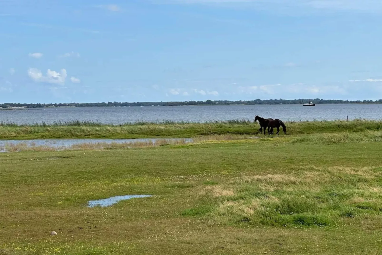 6 persoons vakantie huis in Ærøskøbing-Waterzicht