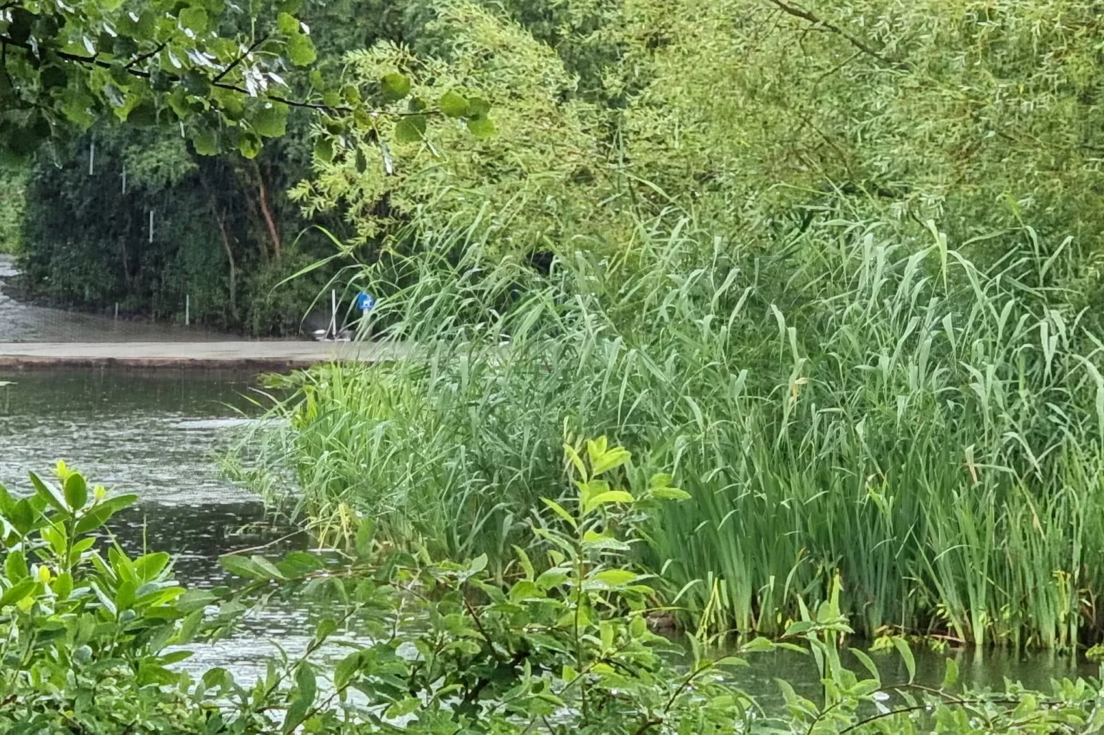 Betoverend huisje in Oksbol Oase-By Traum-Waterzicht