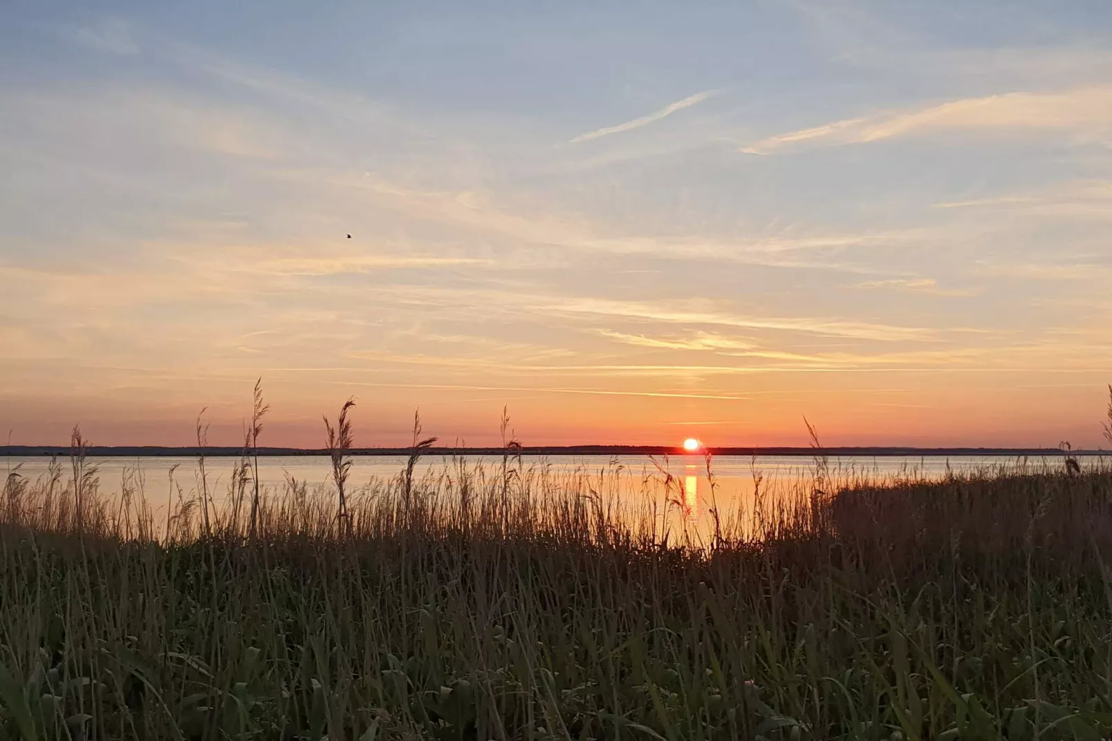 10 persoons vakantie huis in Stege-Waterzicht