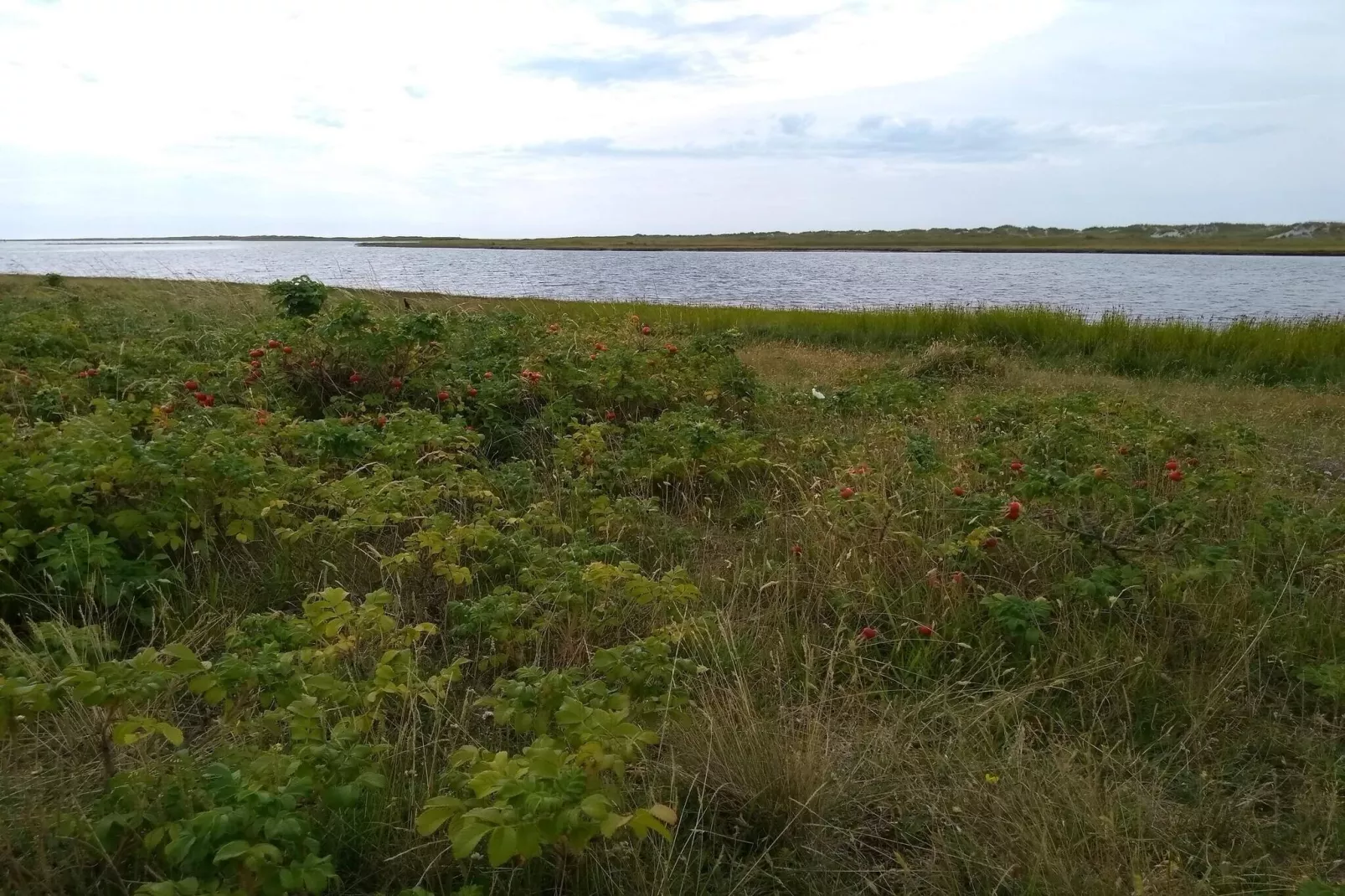 4 persoons vakantie huis in Læsø-Waterzicht