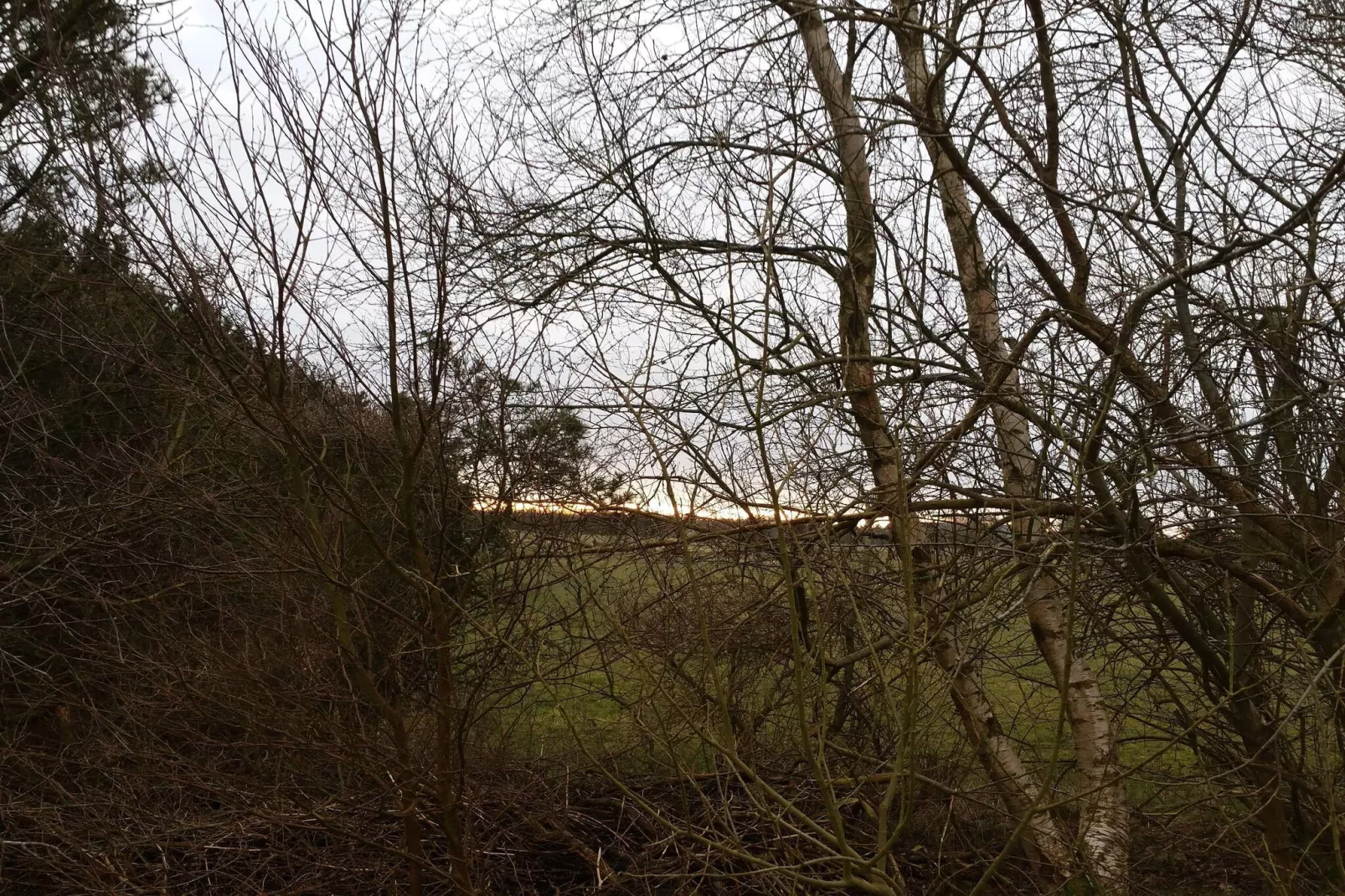 6 persoons vakantie huis in Nørre Nebel-Niet-getagd