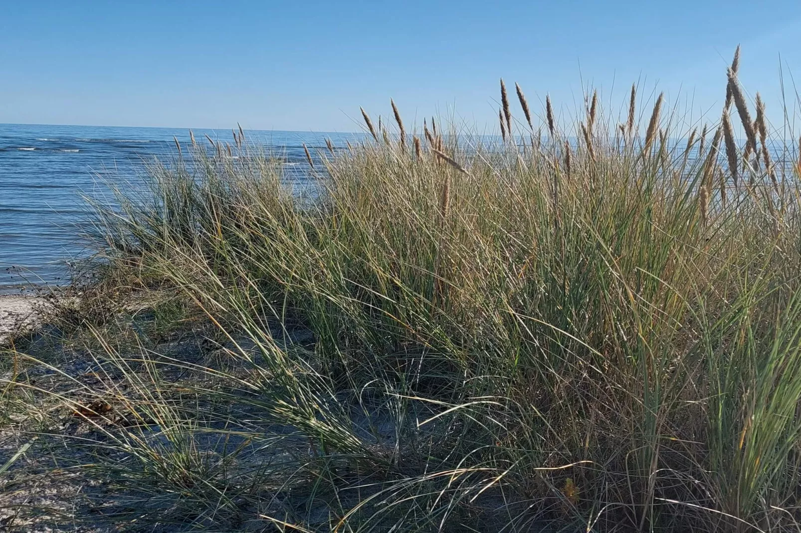 Afgelegen toevluchtsoord in Koldkaer -- By Traum Ferienwohnungen-Waterzicht