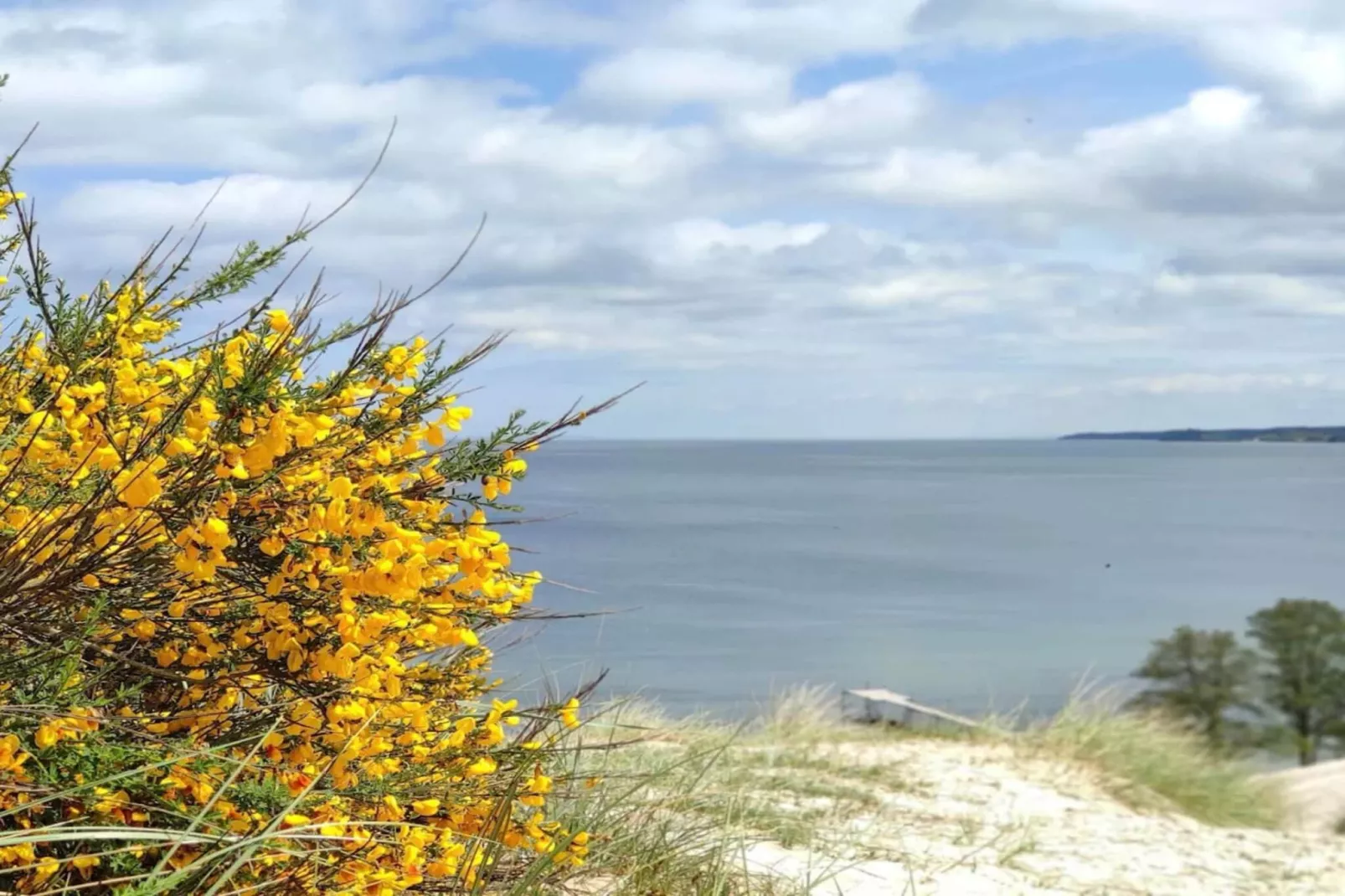 Afgelegen oase in Hvidbjerg -- By Traum Ferienwohnungen-Waterzicht