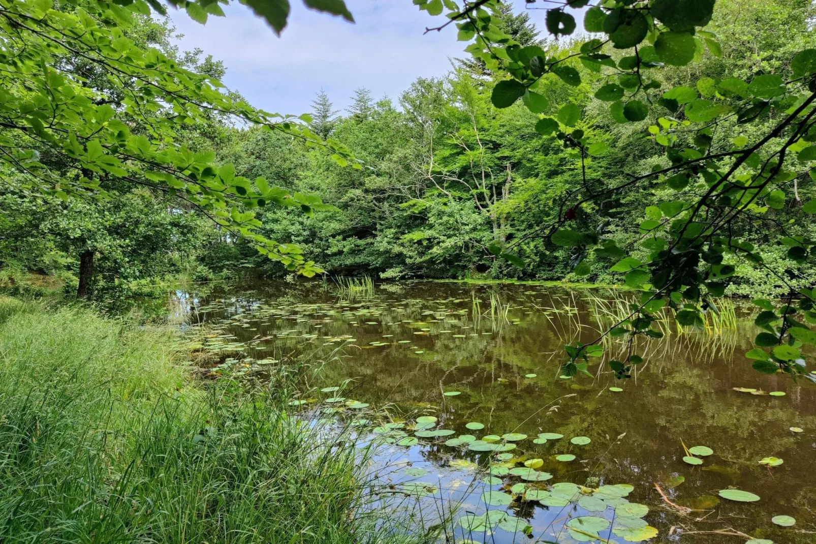 Gezinsuitje in Lodskovvad -- By Traum Ferienwohnungen-Waterzicht