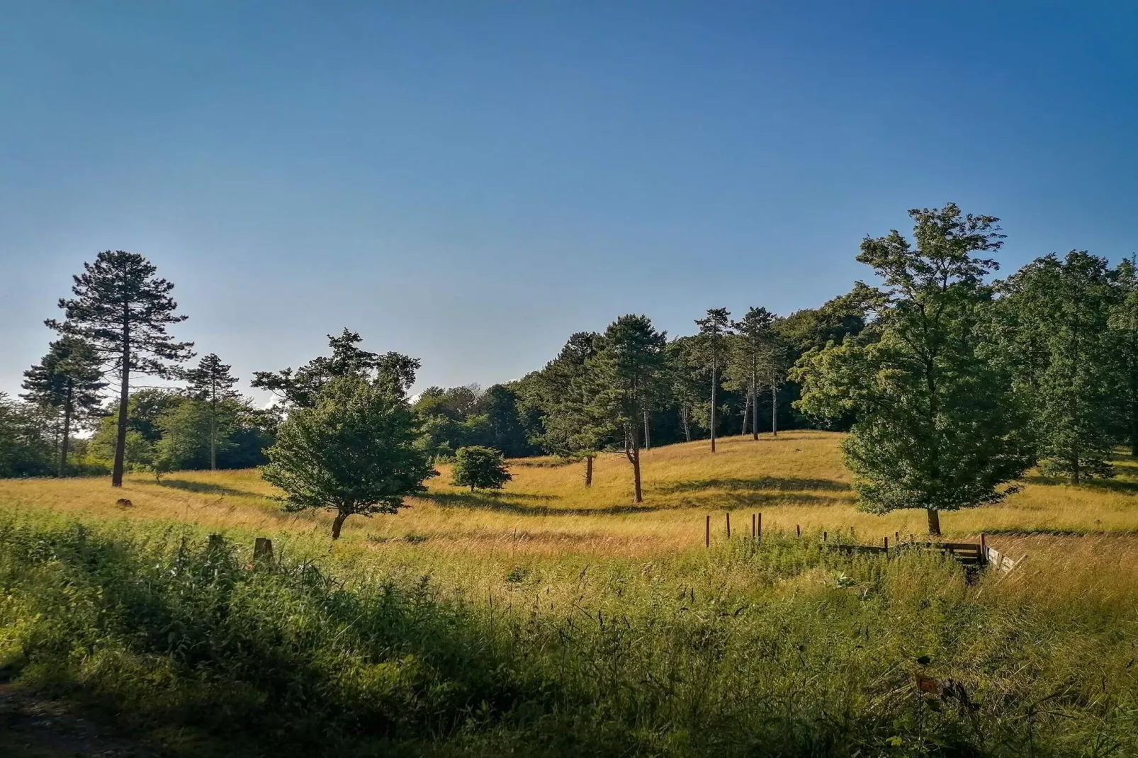 4 persoons vakantie huis in Stege-By Traum-Niet-getagd