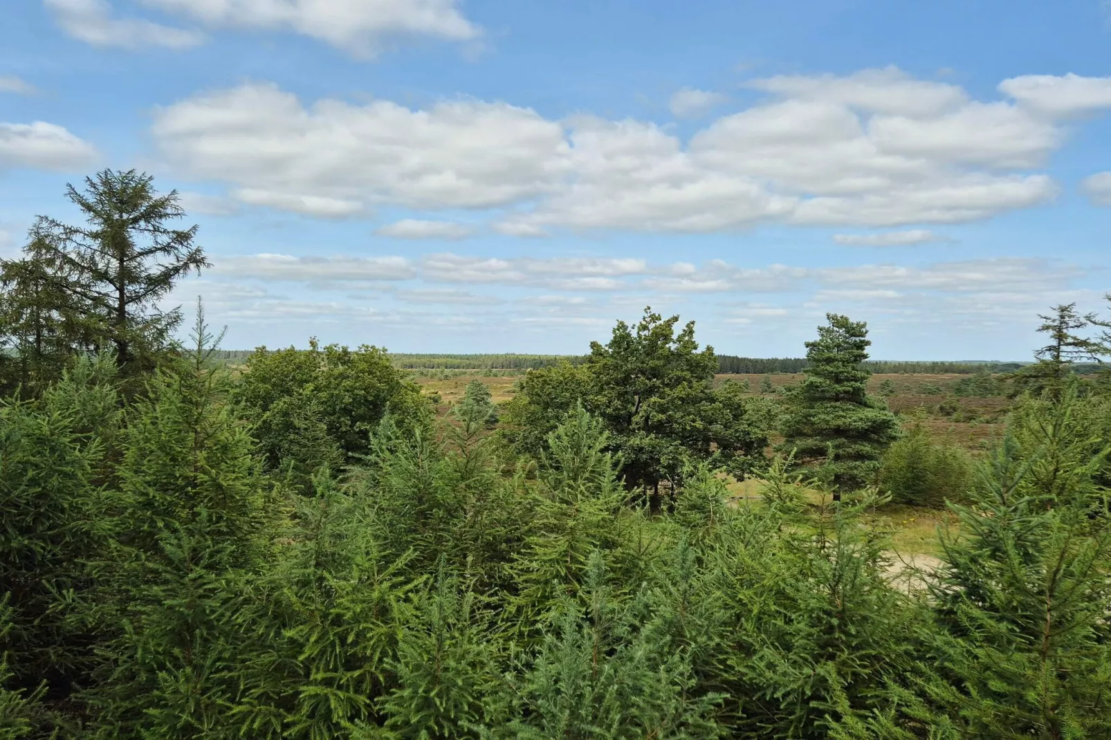 4 persoons vakantie huis in Hovborg-By Traum-Niet-getagd