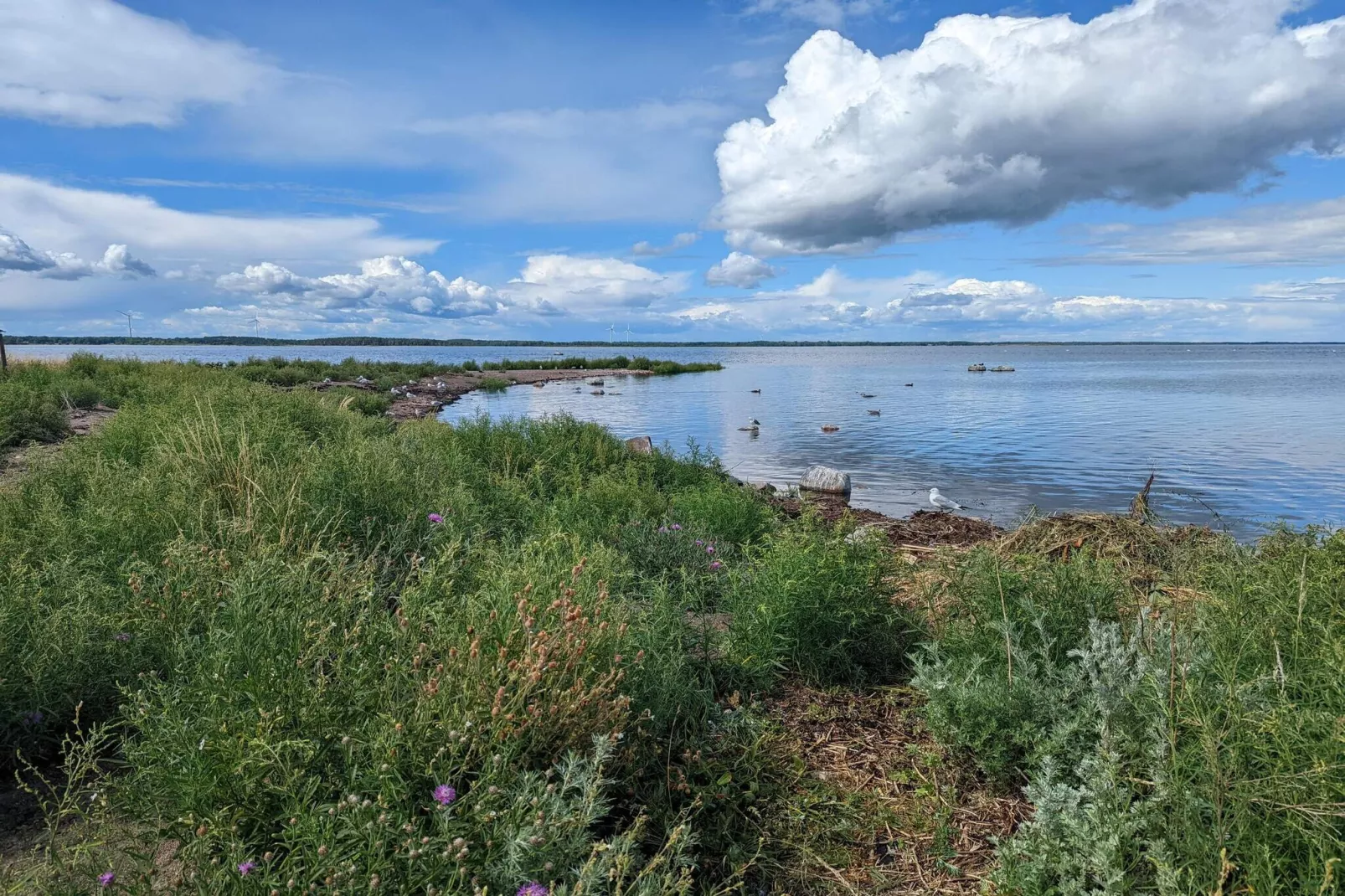4 persoons vakantie huis in BERGKVARA-By Traum-Waterzicht