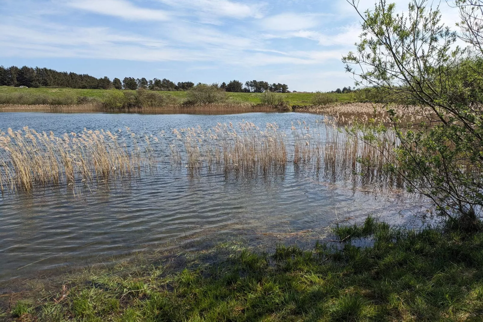 6 persoons vakantie huis in Pandrup-Waterzicht