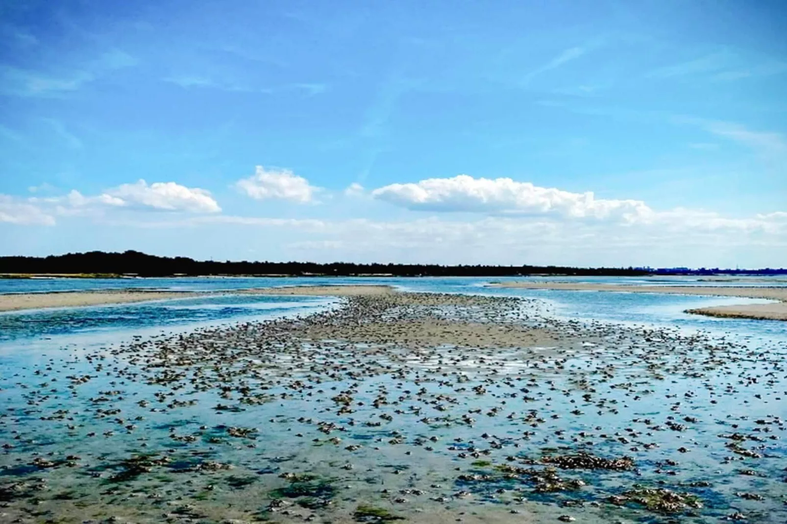 4 persoons vakantie huis in Jægerspris-By Traum-Waterzicht