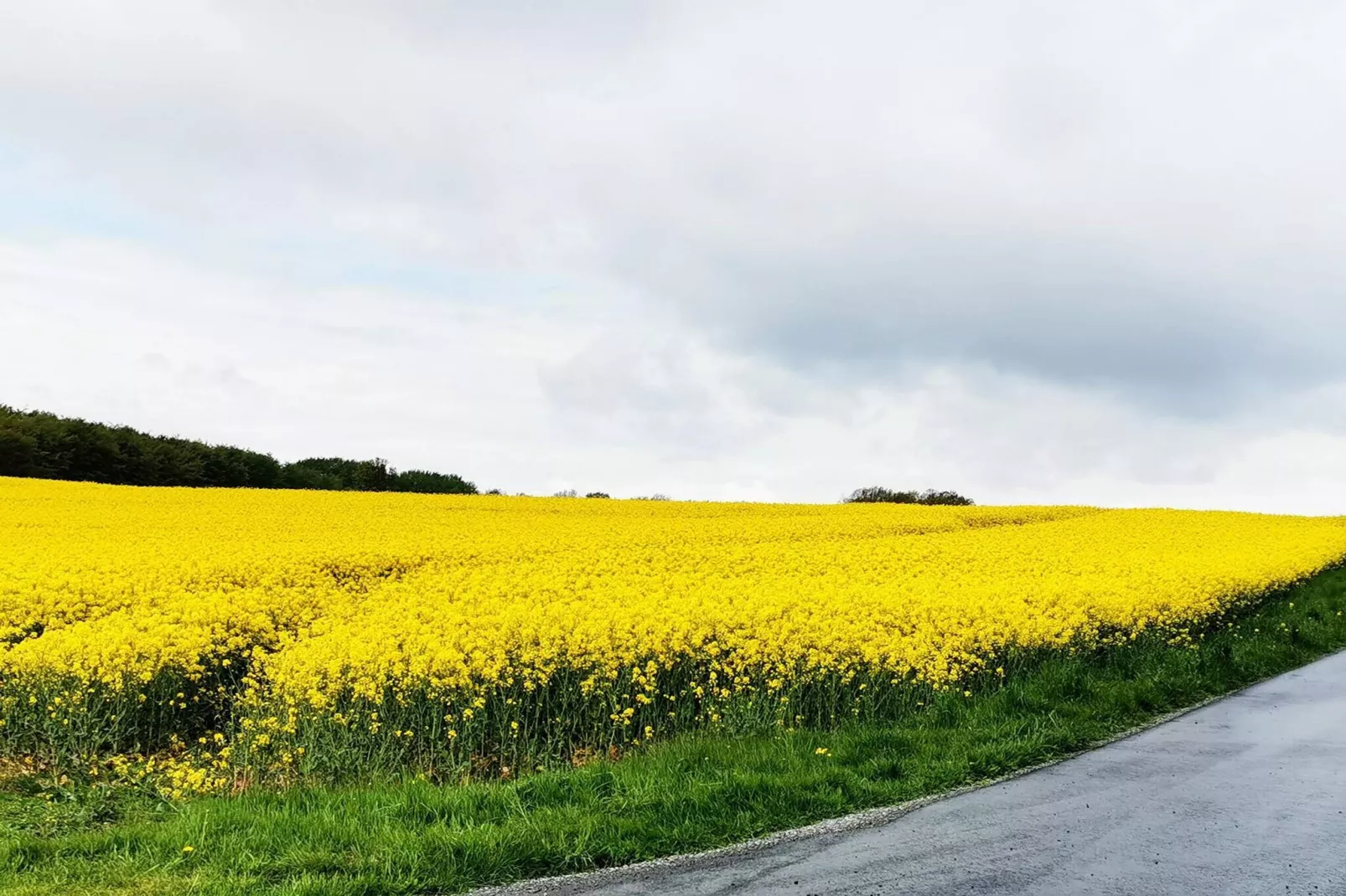 6 persoons vakantie huis in Tranekær-By Traum-Waterzicht