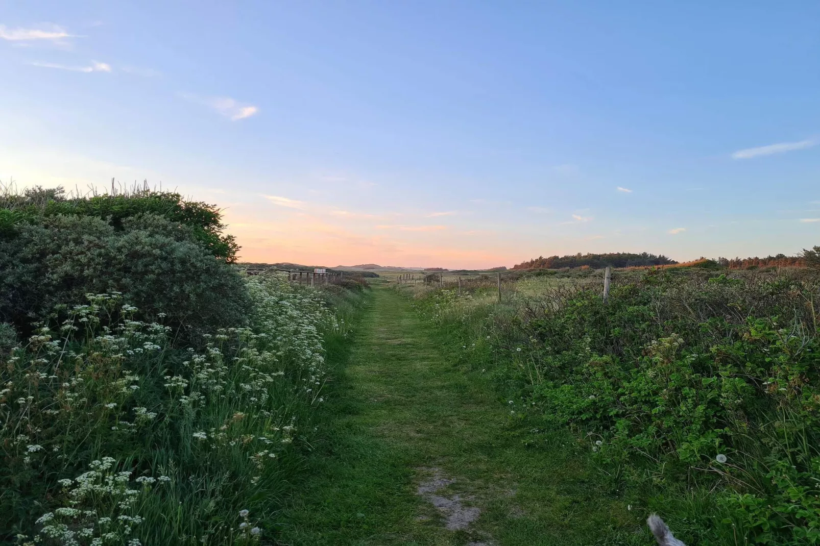 12 persoons vakantie huis in Løkken-By Traum-Waterzicht