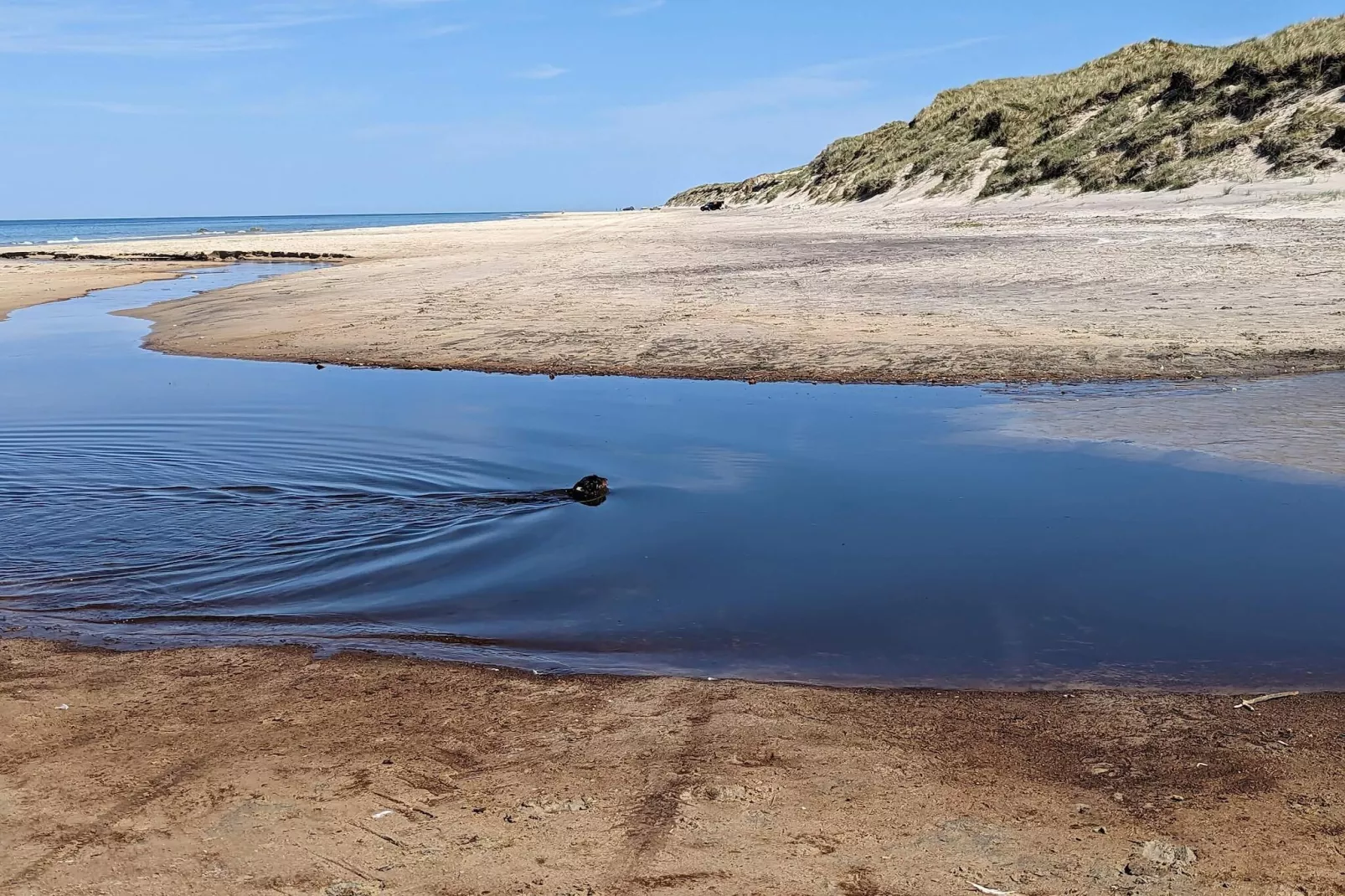 6 persoons vakantie huis in Hirtshals-By Traum-Waterzicht