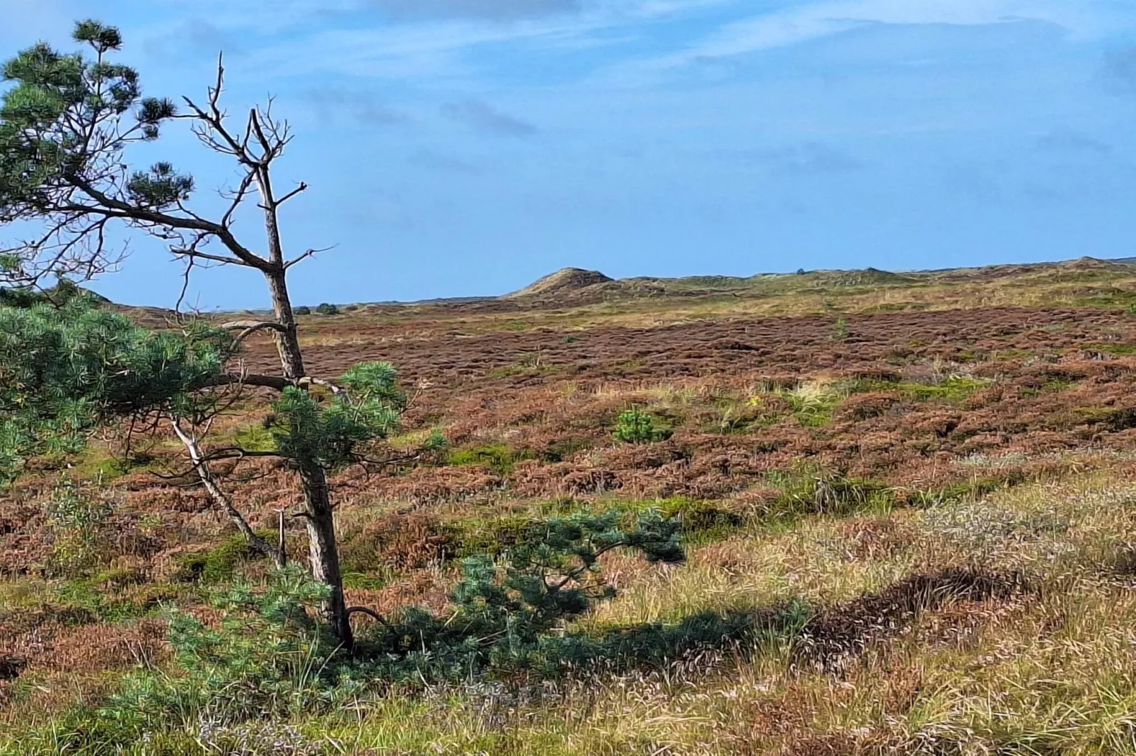 Afgelegen jaren 60 huisje -- By Traum Ferienwohnungen-Niet-getagd