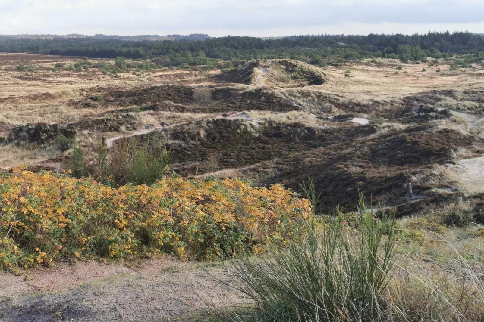 4 persoons vakantie huis in Henne-By Traum-Niet-getagd