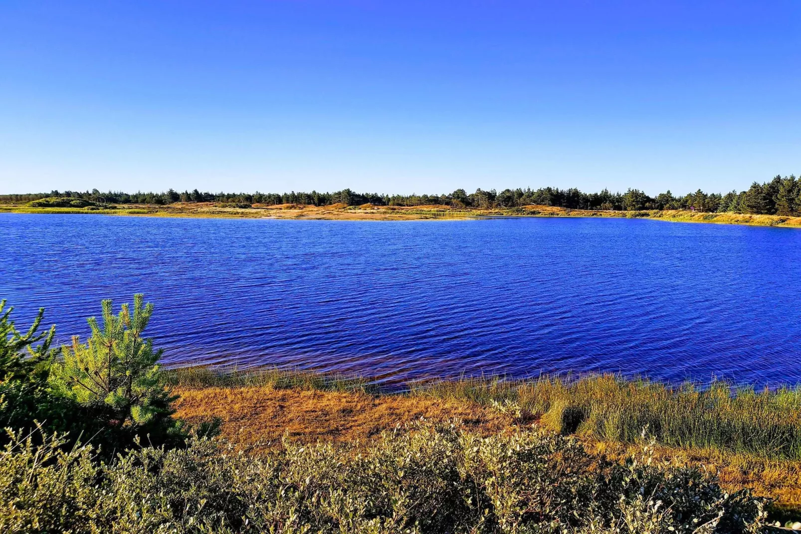 Afgelegen blokhut nabij Graerup -- By Traum Ferienwohnungen-Waterzicht