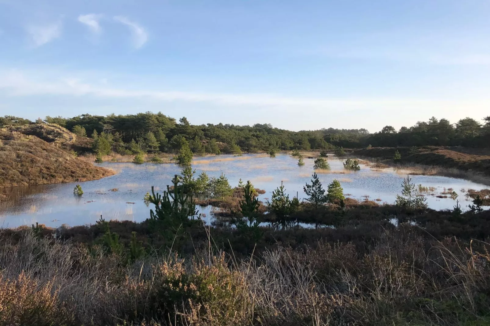 8 persoons vakantie huis in Rømø-By Traum