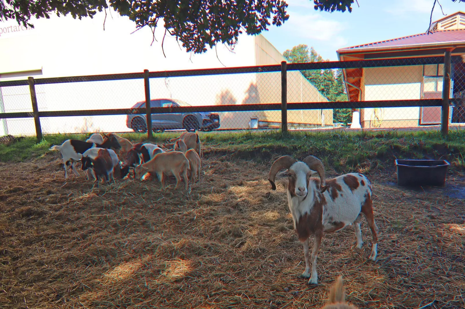 Haus Oliver 200 qm / 1-2 Personen-Tuinen zomer