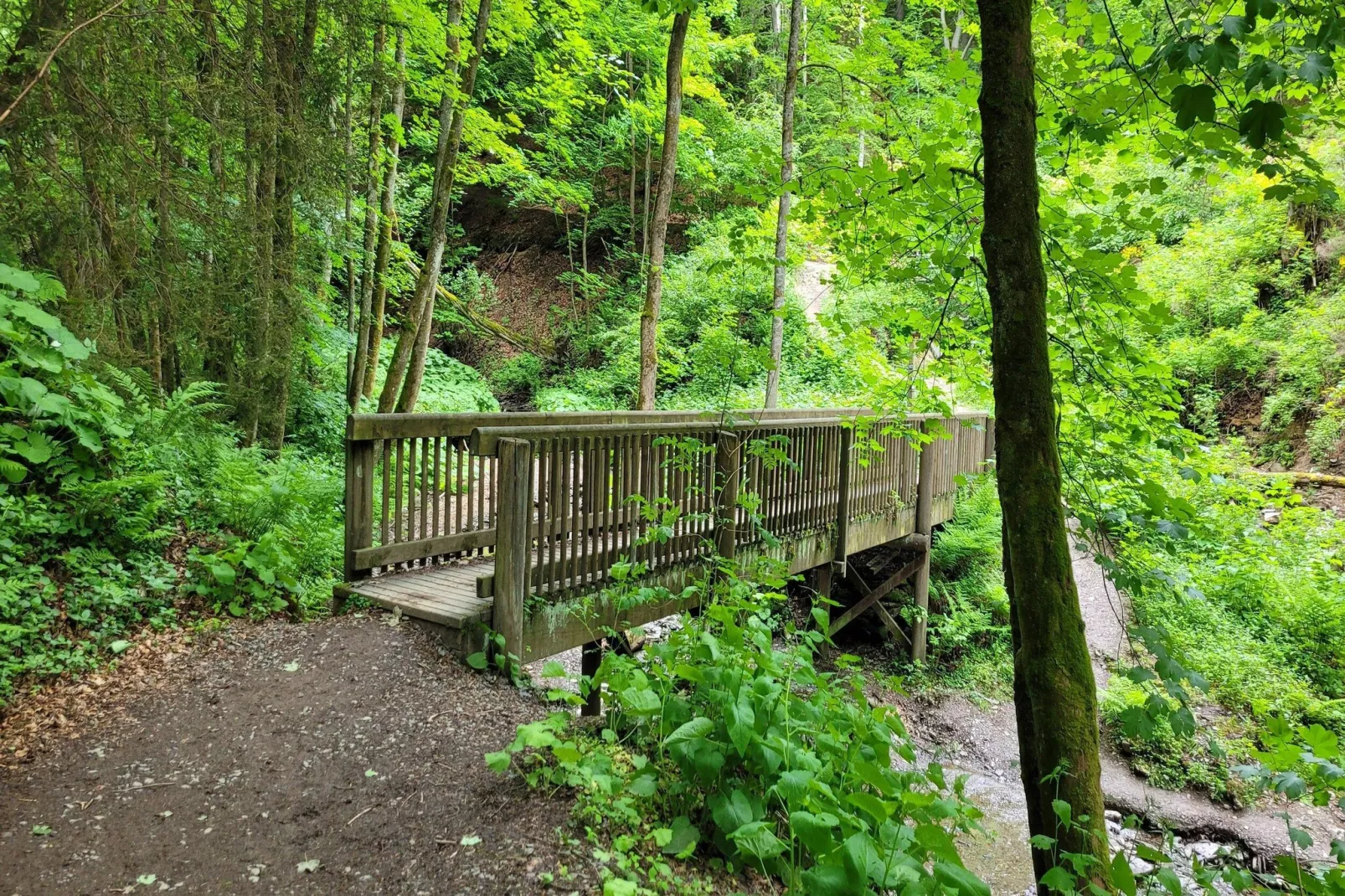 Am Waltenberg 70-MS-Gebieden zomer 5km