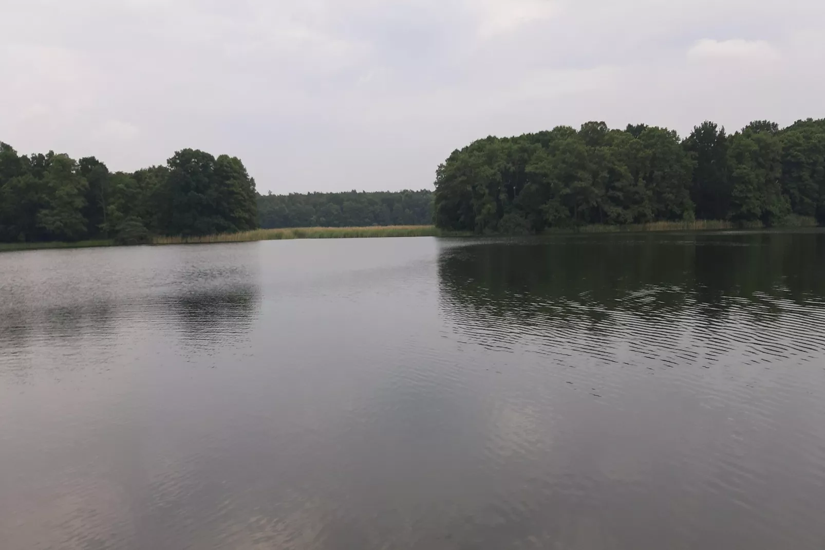 Ferienhaus Typ C 100 qm-Gebieden zomer 5km