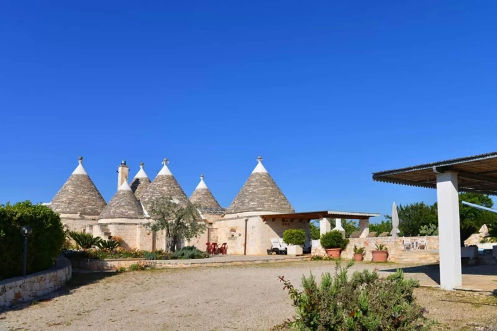 Holiday home Cisternino-Trullo Ulivo Antico-Buitenkant zomer