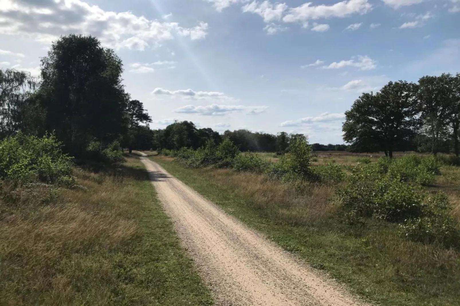 Bospark Markelo 5-Gebieden zomer 20km