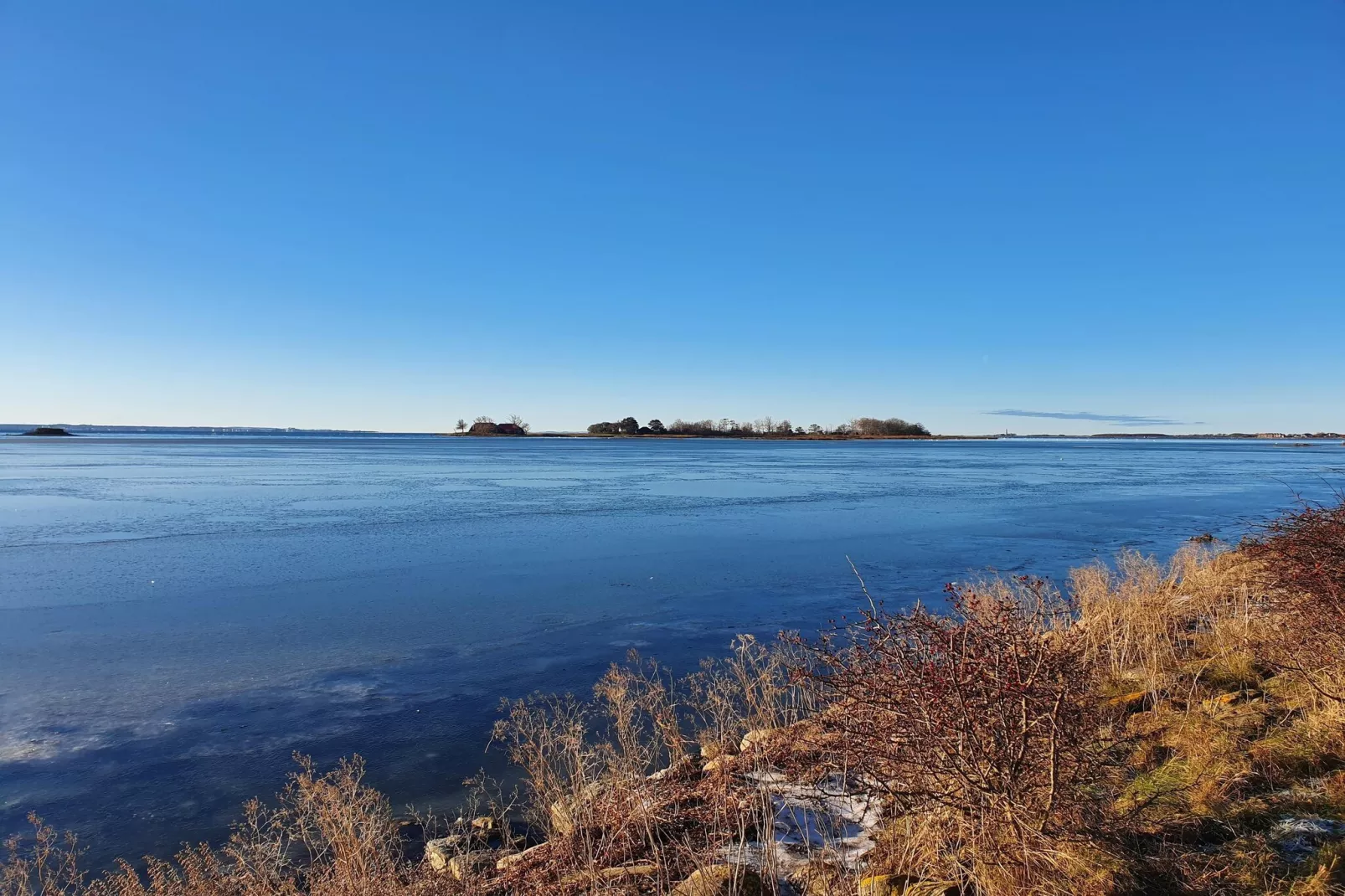 FeWo Lemk 16 1 OG-Gebieden zomer 1km