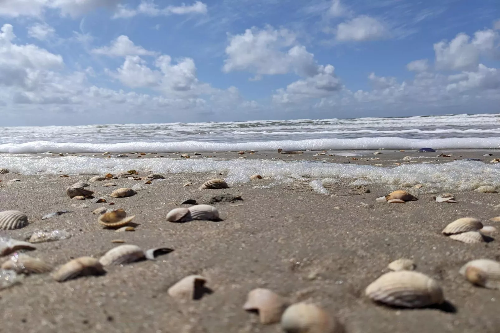 Luxe retraite met zwembad -- By Traum Ferienwohnungen-Waterzicht