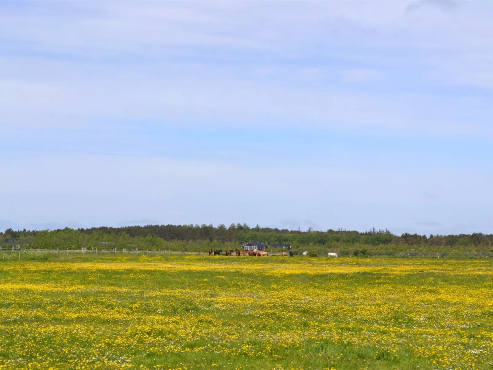"Auti" - 2.3km from the sea - Buiten