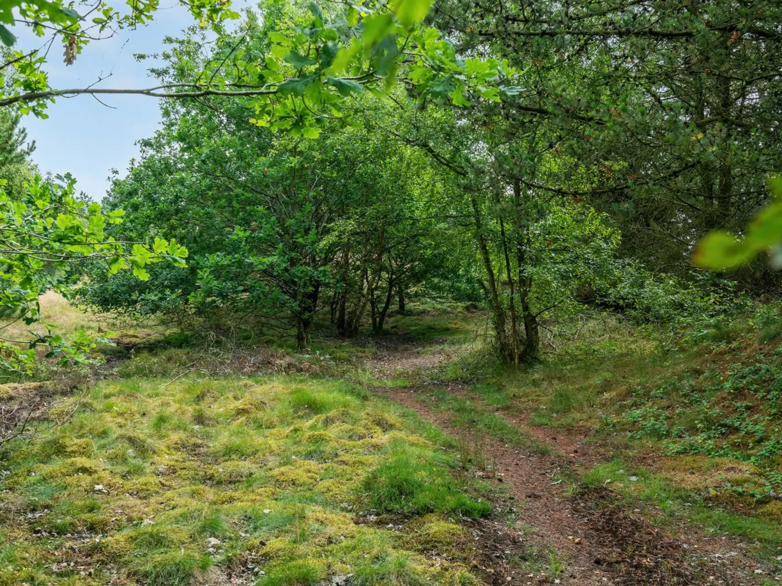 "Gwen" - 2.7km from the sea-Buiten