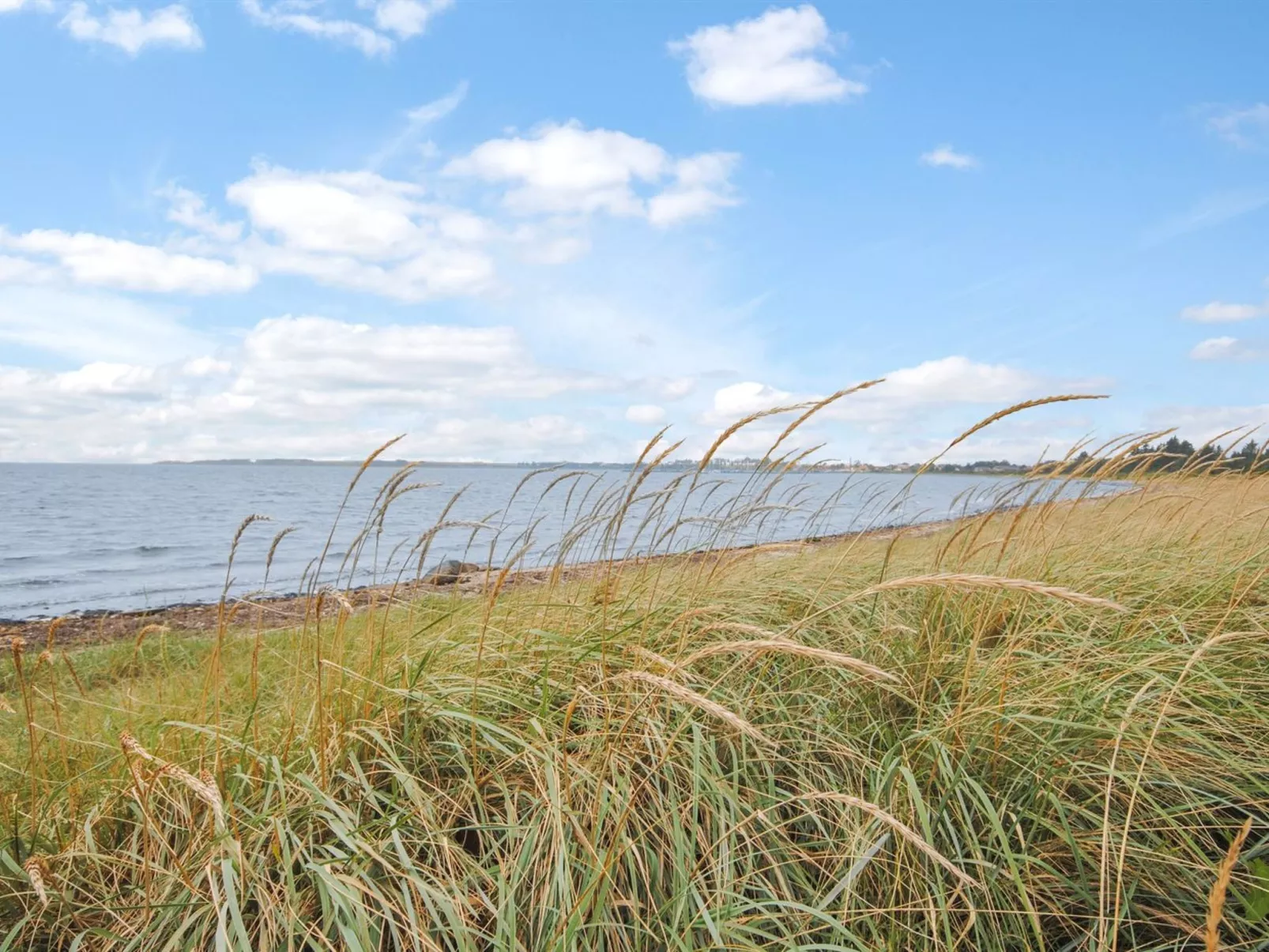 "Eisa" - 300m to the fjord-Buiten