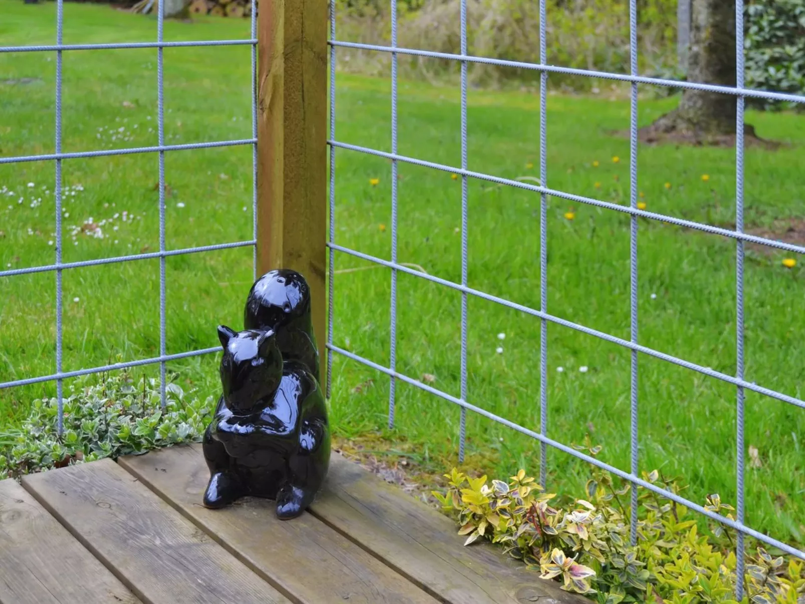 "Elisabeta" - 28km from the sea-Binnen