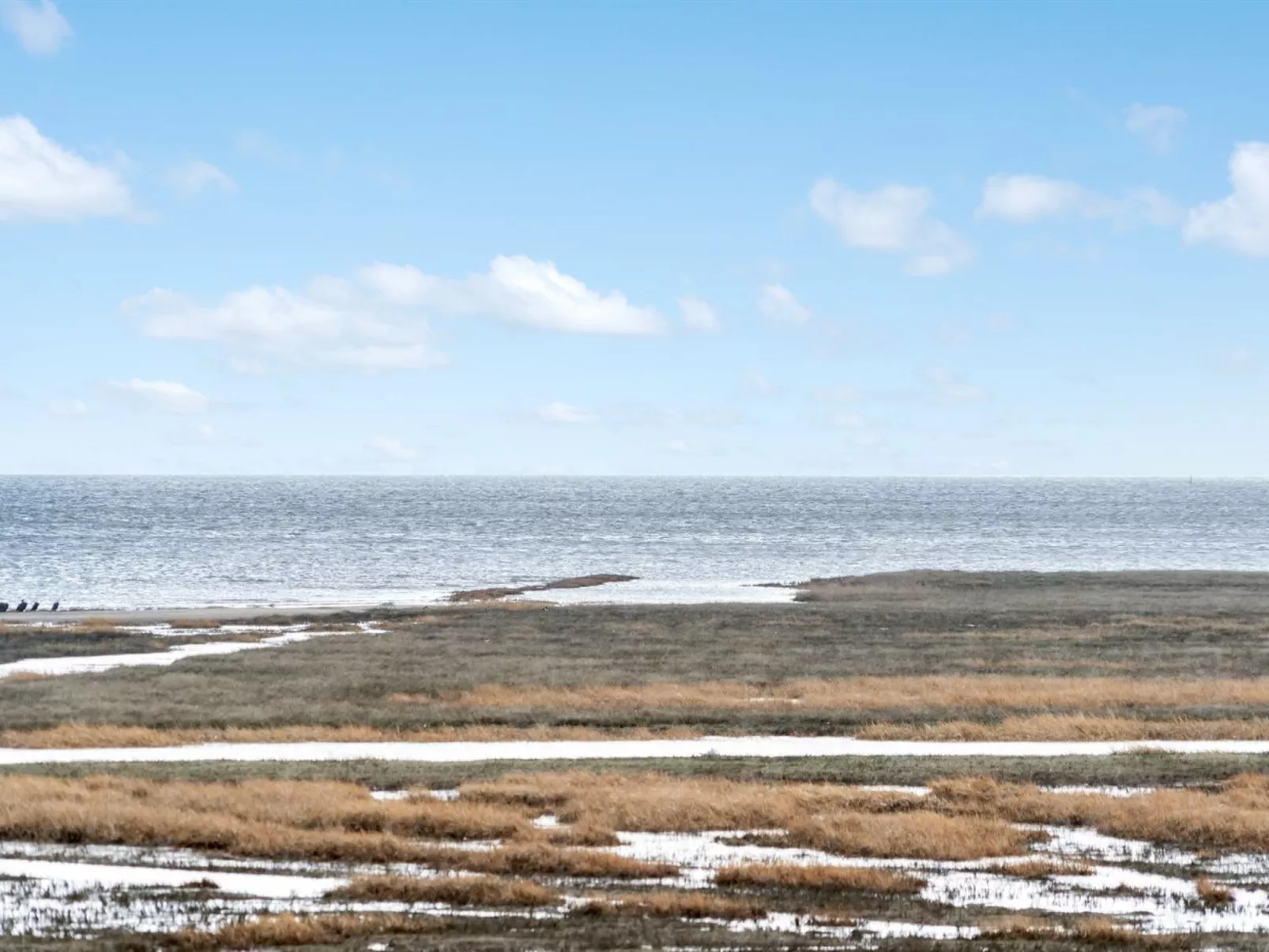 "Langsom" - 100m from the sea-Buiten