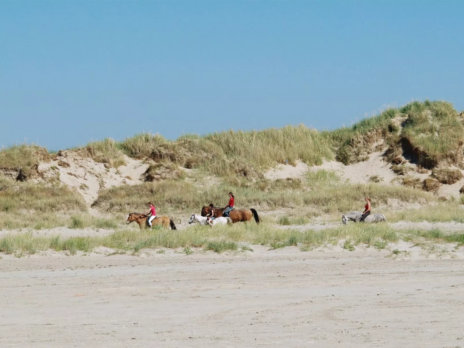 "Paula" - 2.3km from the sea - Buiten