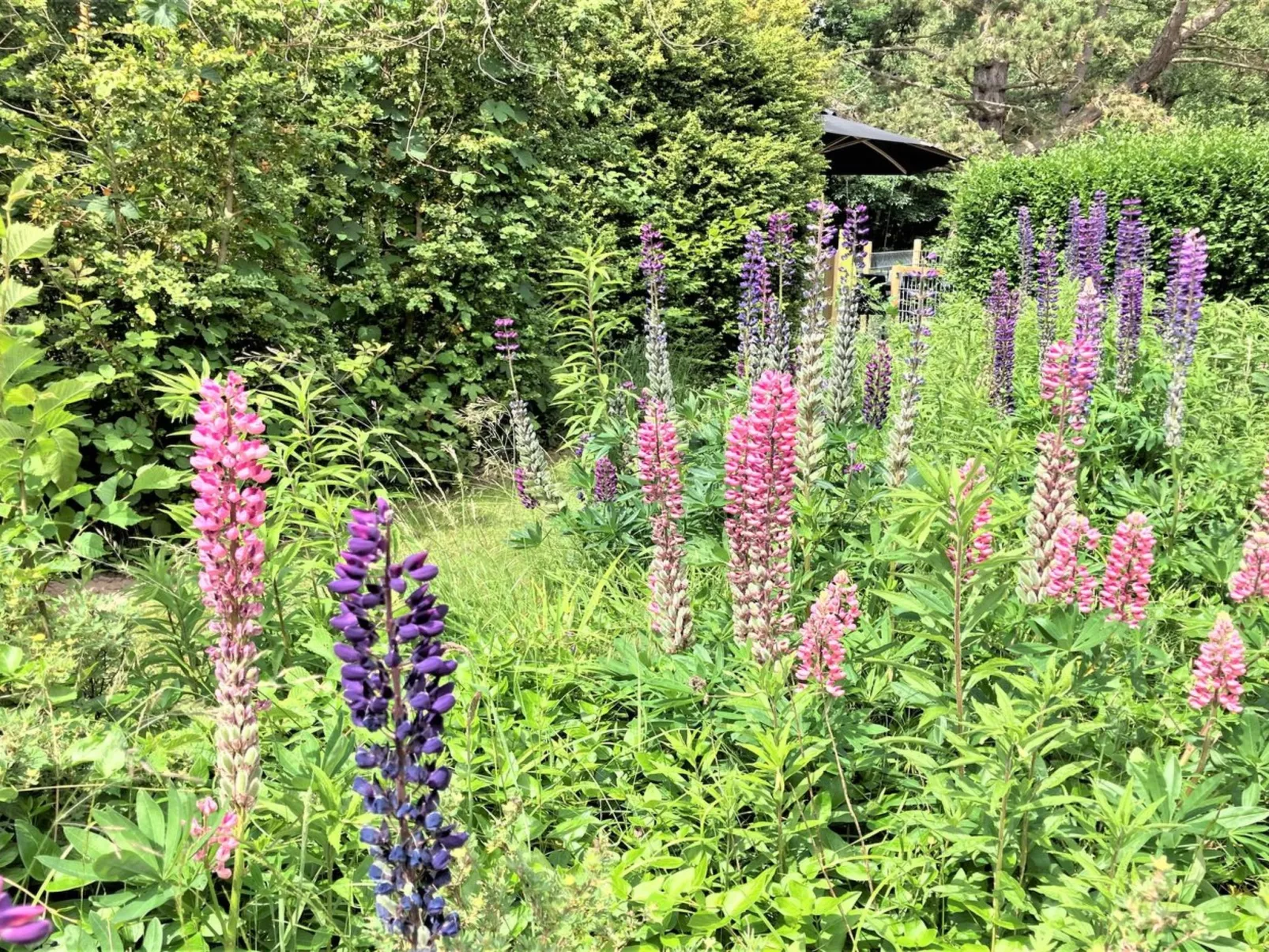"Thrugels" - 200m from the sea-Buiten