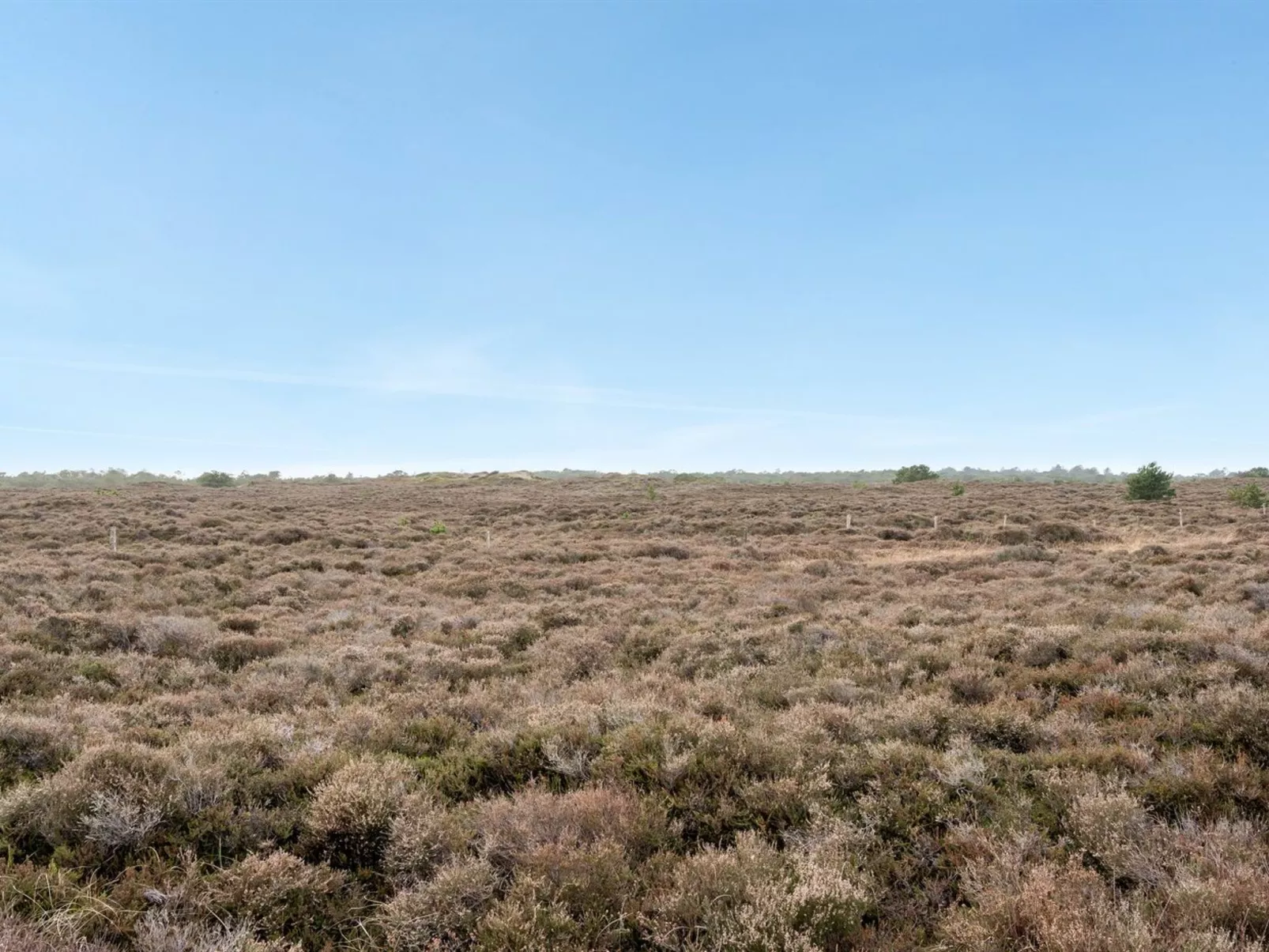 "Dietmar" - 2.8km from the sea-Buiten