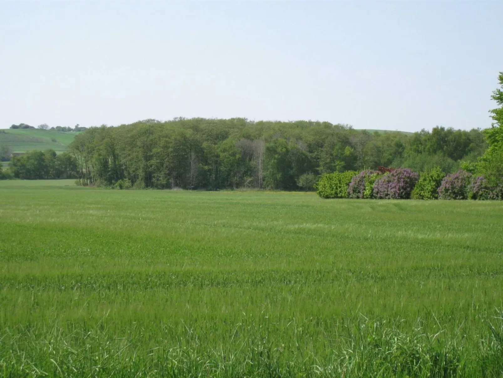 "Eva" - 1.5km to the fjord-Buiten