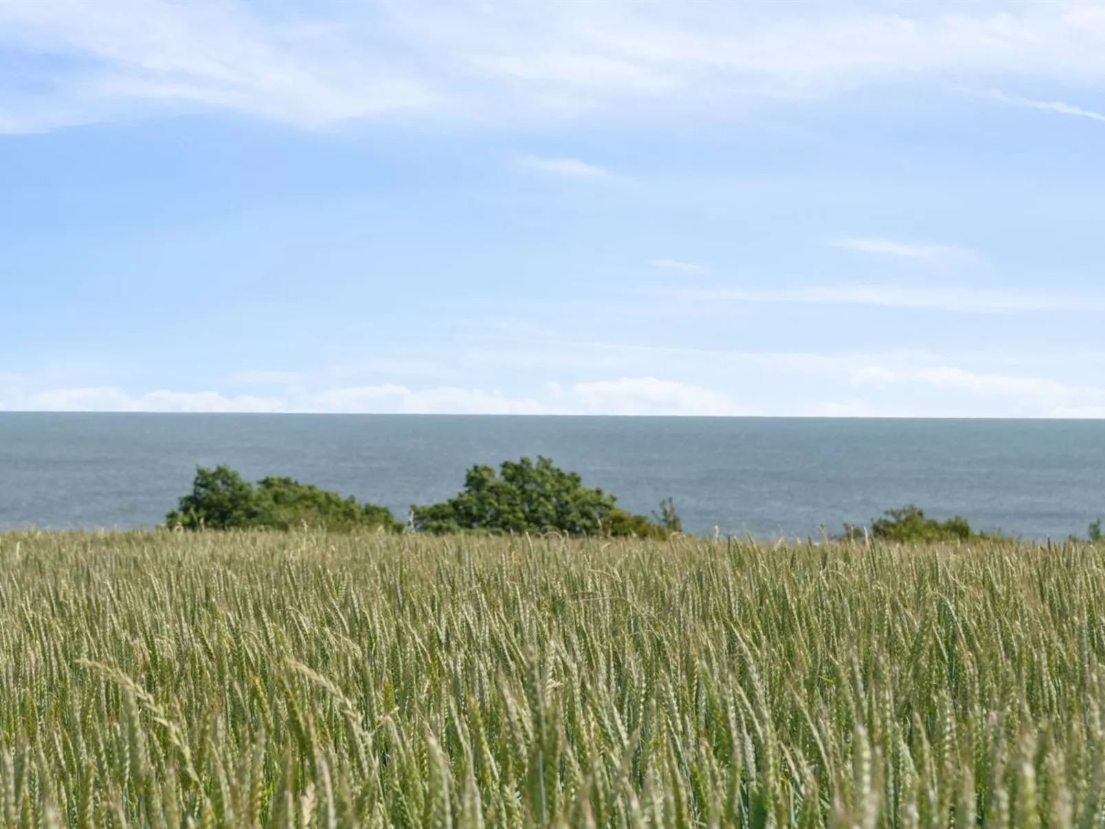 "Gunhilde" - 400m from the sea - Buiten